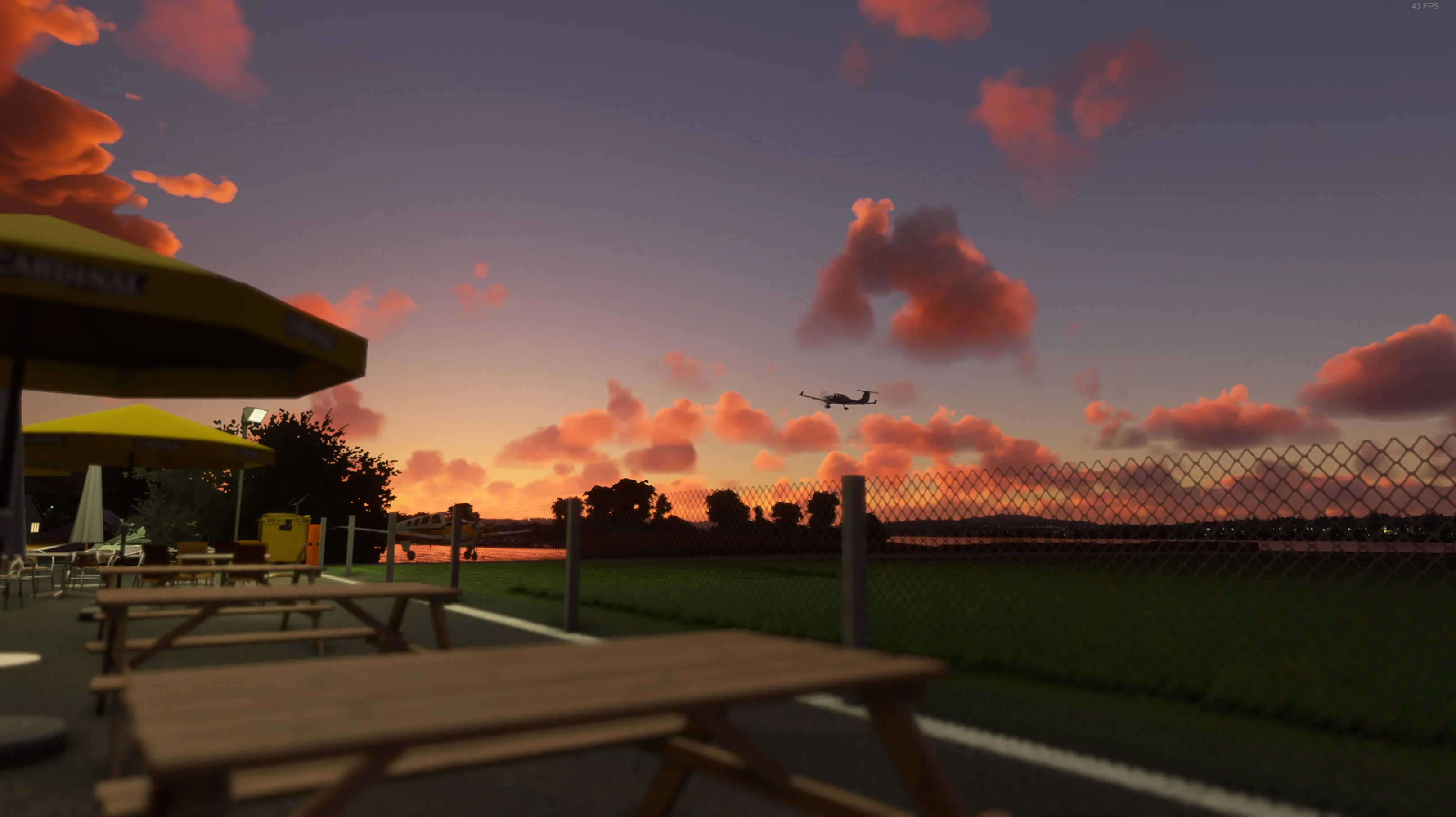 Thumbnail 16