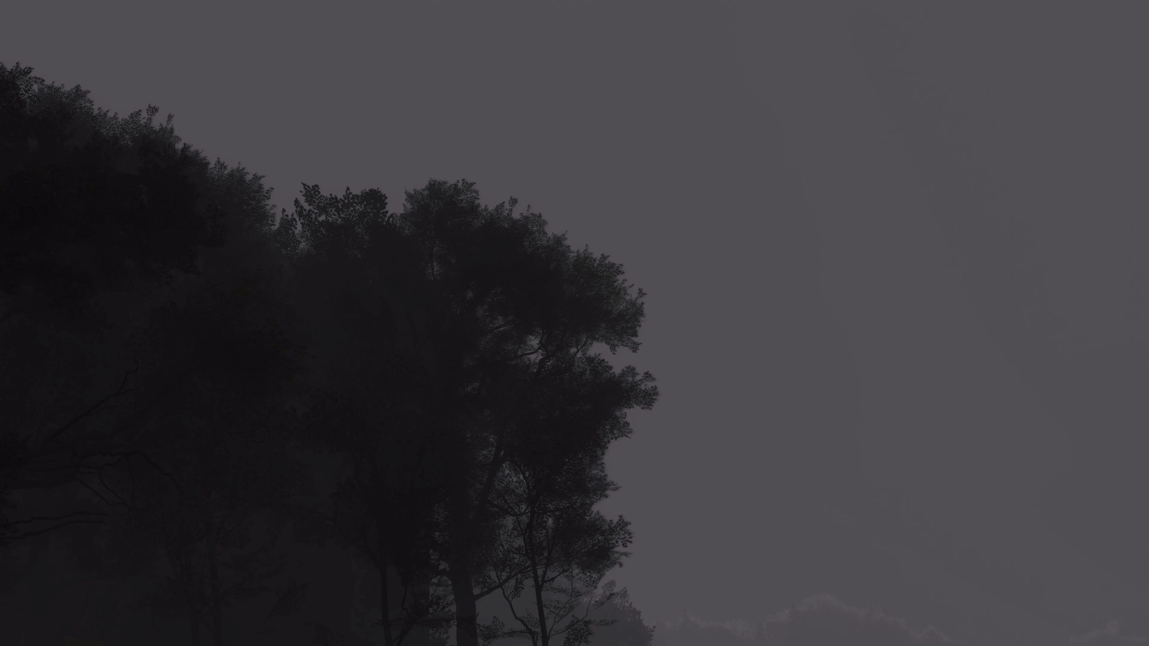 Thumbnail 38